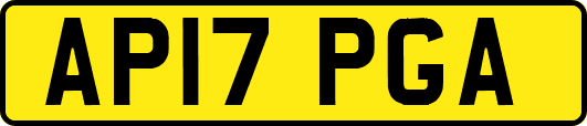 AP17PGA