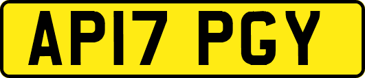 AP17PGY