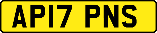 AP17PNS