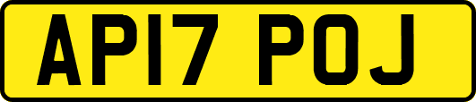 AP17POJ