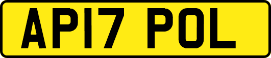 AP17POL