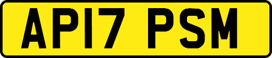 AP17PSM
