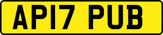 AP17PUB