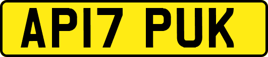AP17PUK
