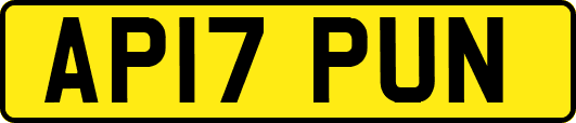 AP17PUN