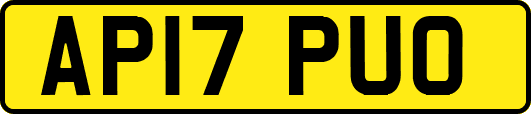 AP17PUO
