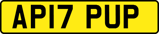 AP17PUP