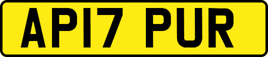 AP17PUR