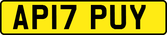 AP17PUY