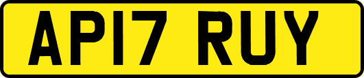 AP17RUY