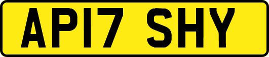 AP17SHY