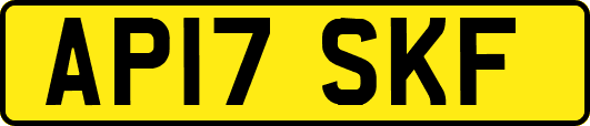 AP17SKF