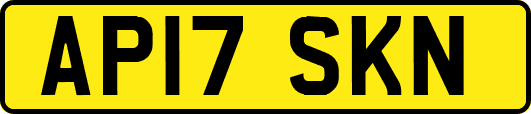 AP17SKN