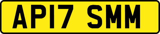 AP17SMM