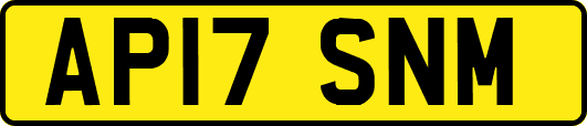 AP17SNM