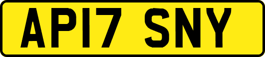 AP17SNY