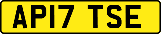 AP17TSE