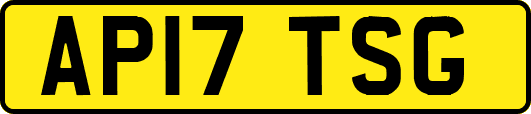 AP17TSG