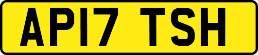 AP17TSH