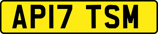 AP17TSM