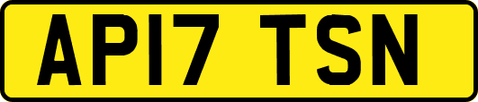 AP17TSN