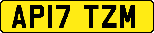 AP17TZM