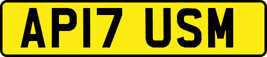 AP17USM