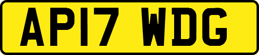 AP17WDG