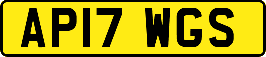 AP17WGS