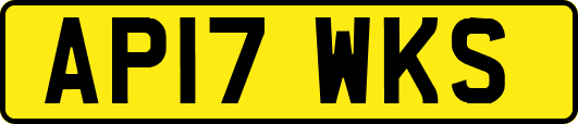 AP17WKS
