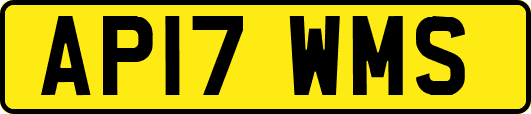 AP17WMS