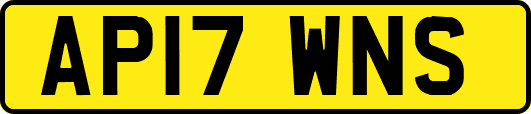AP17WNS