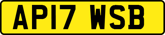 AP17WSB