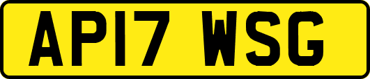 AP17WSG