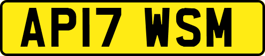 AP17WSM