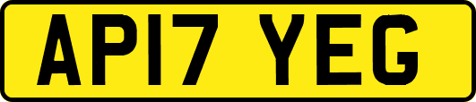 AP17YEG