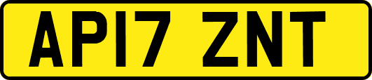 AP17ZNT