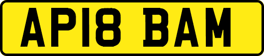 AP18BAM