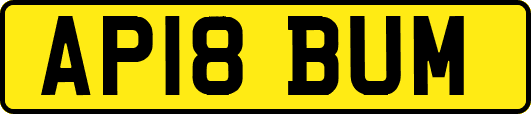 AP18BUM