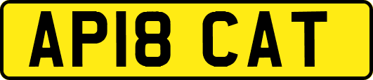 AP18CAT