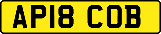 AP18COB