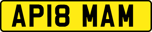 AP18MAM