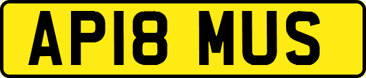 AP18MUS