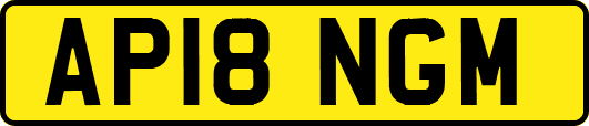 AP18NGM