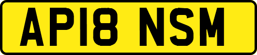 AP18NSM