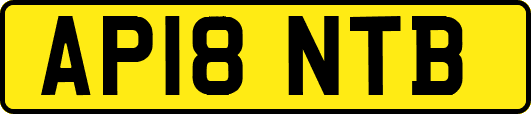 AP18NTB