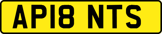 AP18NTS