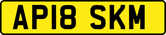 AP18SKM