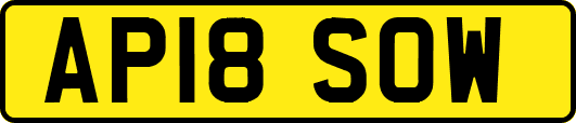 AP18SOW