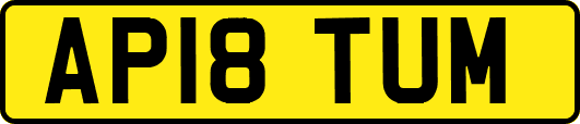 AP18TUM